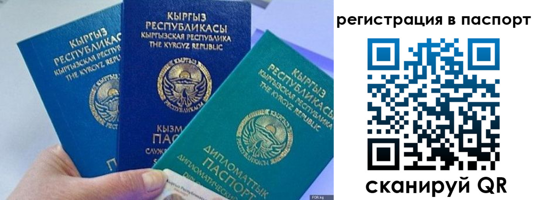 прописка 2025 в Питкяранте